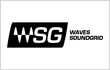 Waves Soundgrid Logo Format - Wrong